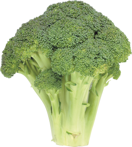 Broccoli PNG image-2829